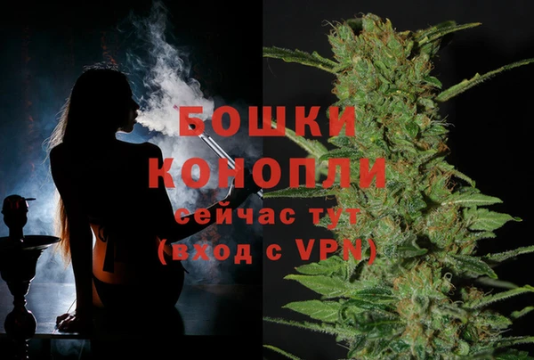 первитин Богданович
