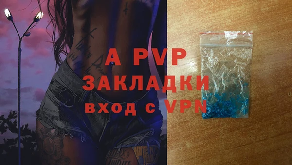 apvp Богородицк