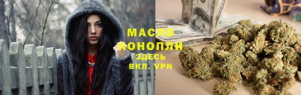 apvp Богородицк