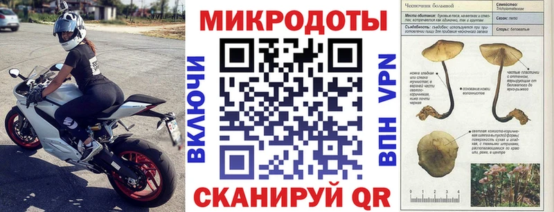 Псилоцибиновые грибы GOLDEN TEACHER  Вельск 